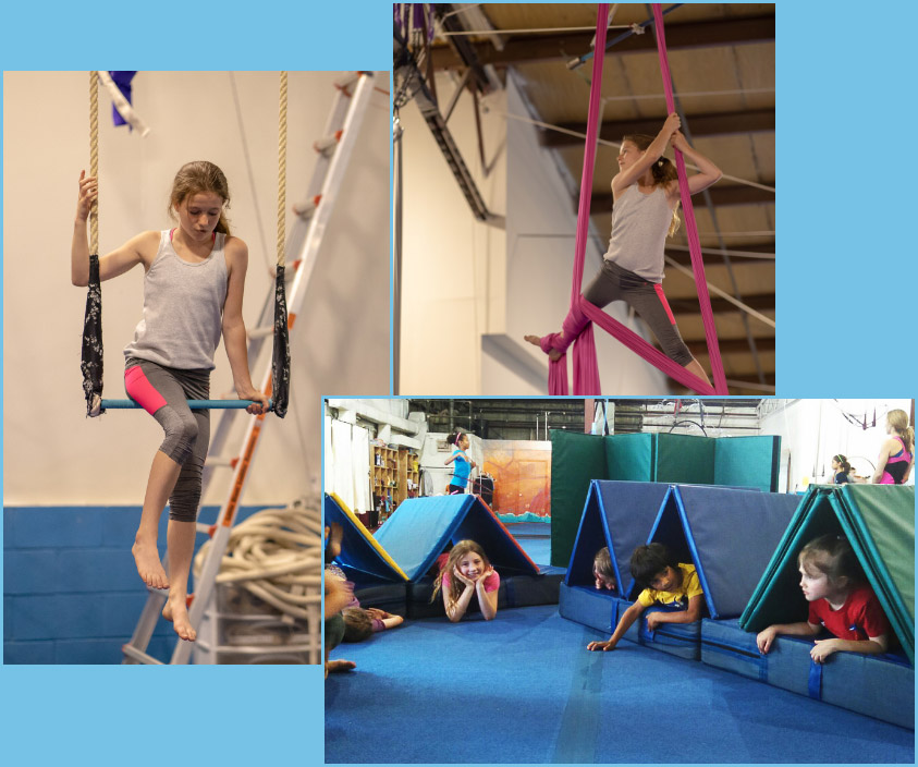 children playing and training on aerial fabric and trapeze